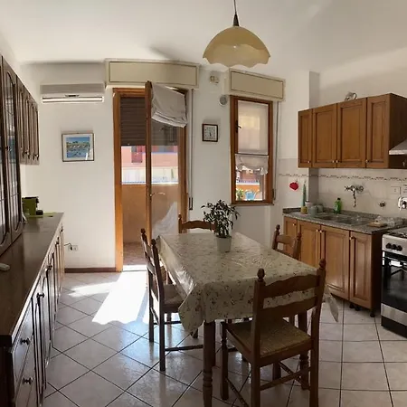 Apartment Donca House *