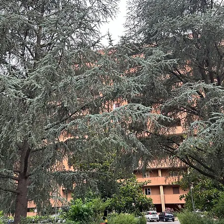 Donca House Pérouse